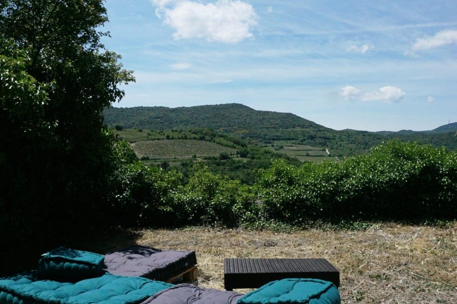 Le vigneron - Gîte de France - Location-Gîte-Aude - Le Jardin