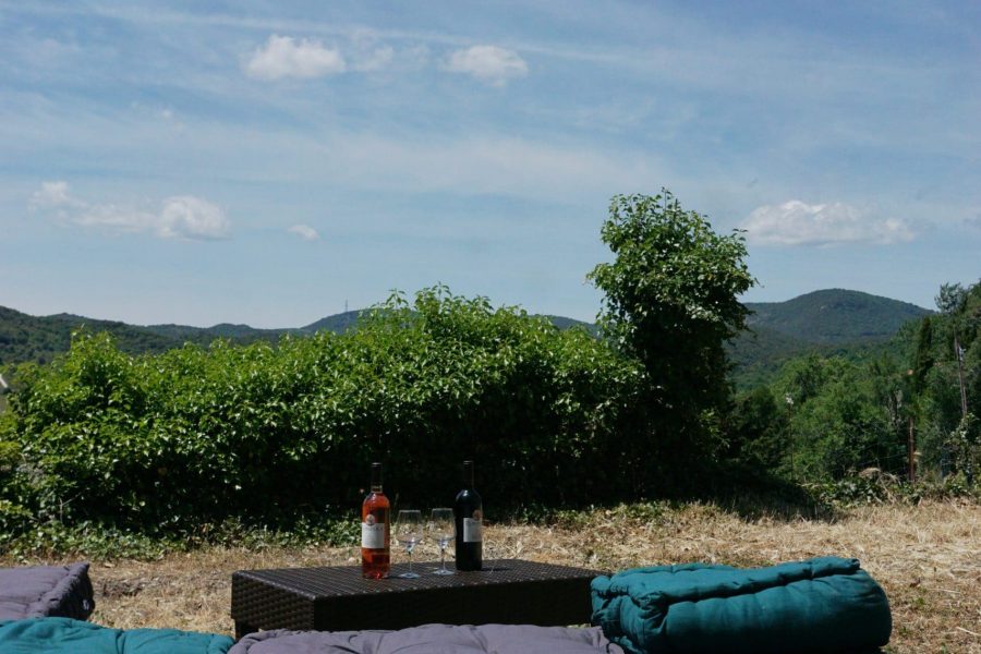 Le vigneron - Gîte de France - Location-Gîte-Aude - Le Jardin