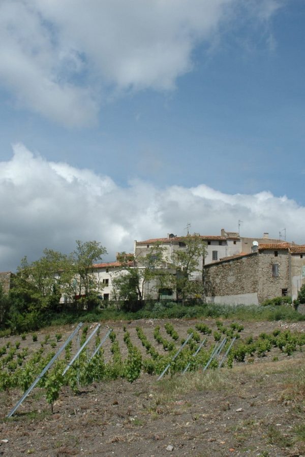 Le Vigneron - Gîte de France dans l'Aude - Quintillan