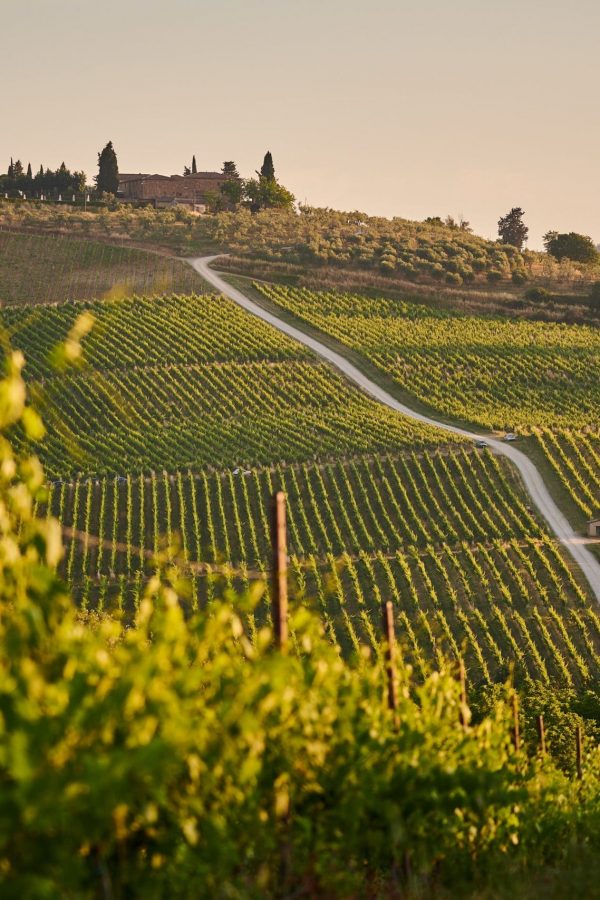 Le Vigneron - Gîte de France dans l'Aude - Les sites touristiques